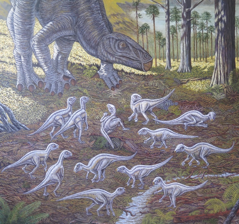Una guardería de dinosaurios de hace 127 millones de años.