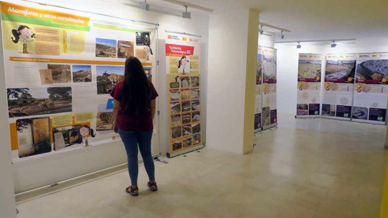 Cedrillas acoge la exposición de la Fundación Dinópolis “Los yacimientos paleontológicos BIC de la provincia de Teruel” durante el mes de julio