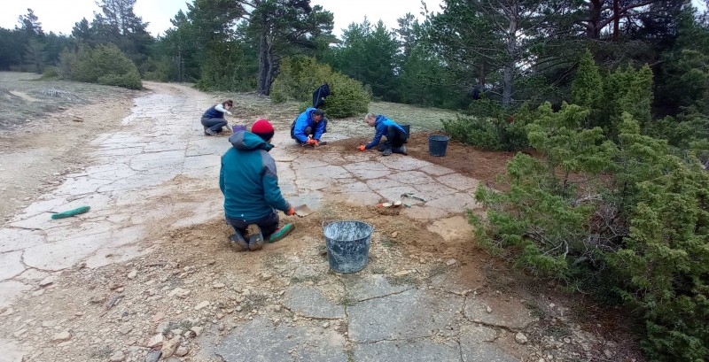 La Fundación Dinópolis realiza unas Jornadas de Puertas Abiertas un yacimiento de dinosaurios en Mosqueruela (Teruel)