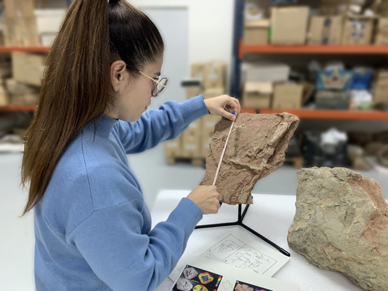 La Fundación Dinópolis describe dos nuevos yacimientos de huellas de dinosaurios en La Puebla de Valverde (Teruel)