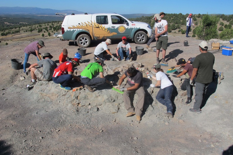 La XVIII edición del curso sobre Paleontología de la Universidad de Verano de Teruel muestra las prácticas en excavación de dinosaurios.
