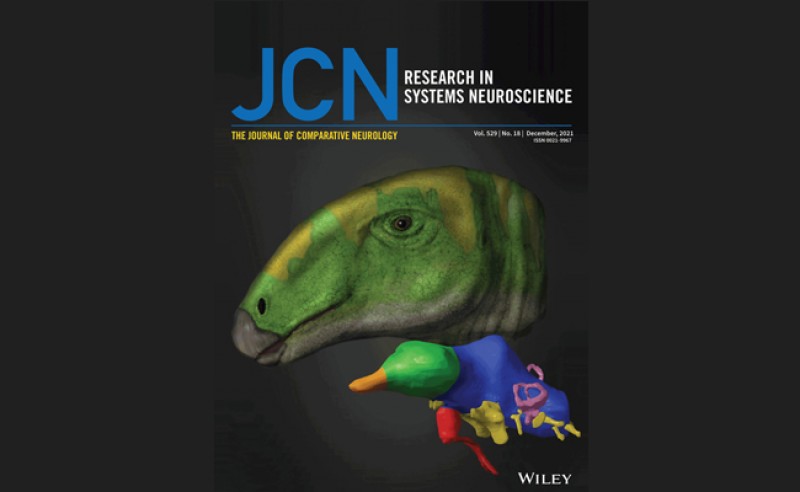El dinosaurio Proa de Ariño, portada de la revista Journal of Comparative Neurology