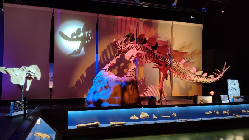 Dinópolis arranca la temporada con una nueva iluminación vanguardista en su Museo Paleontológico