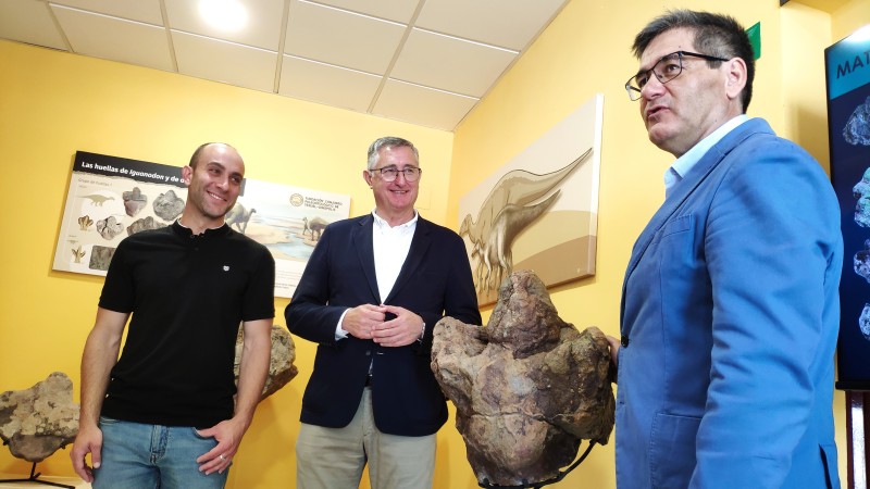 Nuevas huellas de Teruel demuestran la locomoción cuadrúpeda del dinosaurio Iguanodon durante todo su desarrollo