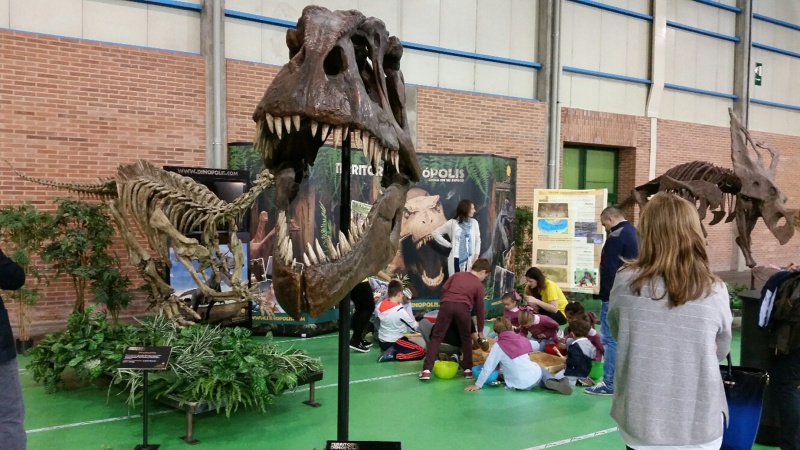 Dinópolis estará presente en la 11ª edición del Pabellón de la Ciencia de Zaragoza.