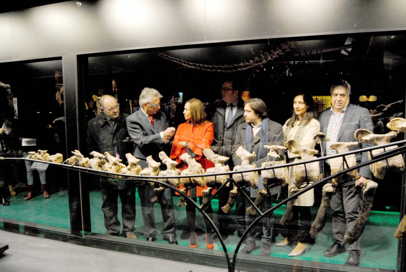 El museo de Dinópolis exhibirá la mayor cantidad de fósiles originales de dinosaurios gigantes de Europa.