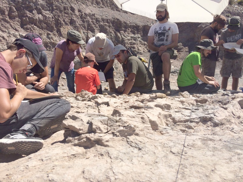 Alumnos de diferentes procedencias completan las plazas para participar en la XVI edición del curso sobre Paleontología y Desarrollo de la Universidad de Verano de Teruel.