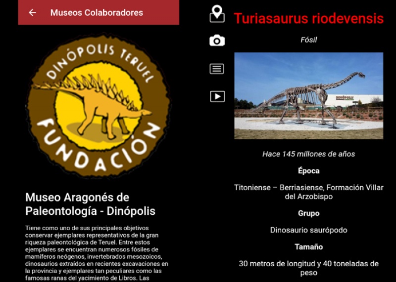 Fósiles de Teruel en una nueva aplicación sobre la historia de la vida en la Tierra para celebrar el Día Internacional de los Museos.