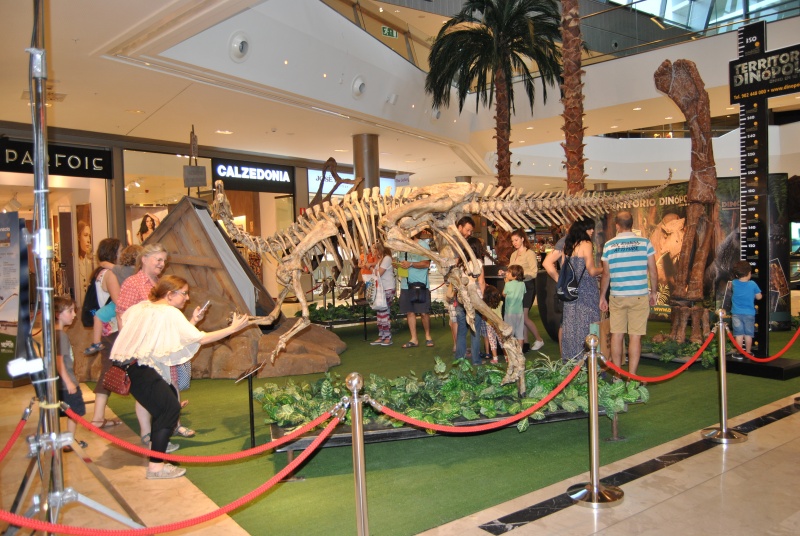 Los dinosaurios de Dinópolis vuelven a  intu ‘Puerto Venecia’.