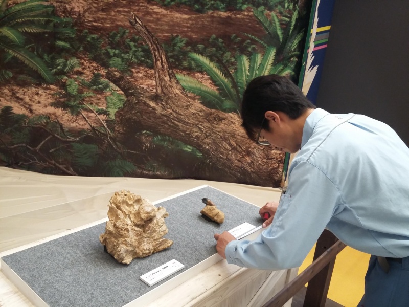 Turiasaurus triunfa de nuevo en Japón.