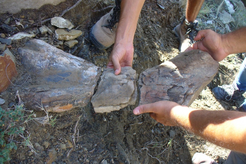 La Fundación Dinópolis ha inventariado 30 nuevos yacimientos de dinosaurios en la Sierra de Gúdar en los últimos 5 años.