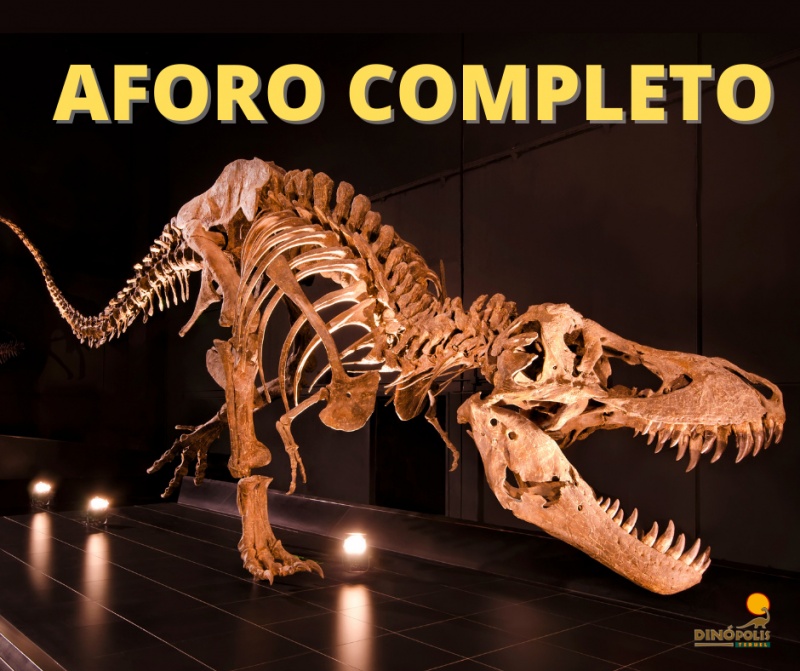 AFORO COMPLETO DINÓPOLIS HOY 9 DE OCTUBRE