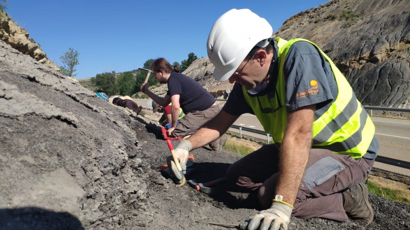 Una diminuta Pompeya del Cretácico en Utrillas (Teruel).
