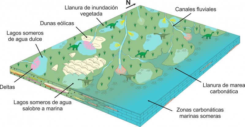 LOS DINOSAURIOS GIGANTES DE TERUEL Y VALENCIA VIVIERON EN UN CLIMA ESTACIONAL CON LLUVIAS DE TIPO MONZÓNICO