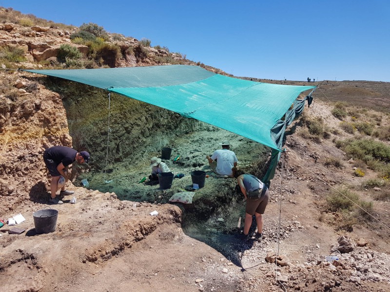 Paleontólogos buscan fósiles de félidos “dientes de sable” en Teruel