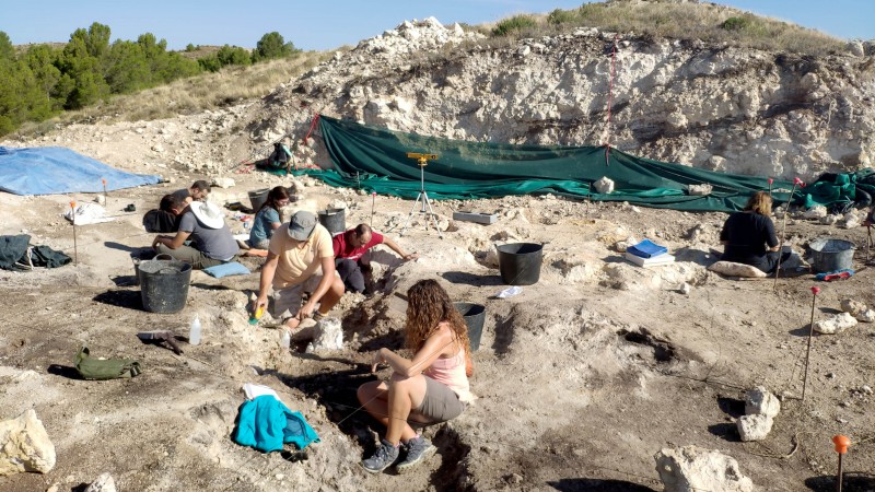 Fósiles de jirafas, hienas, caballos, gacelas y antílopes afloran en la actual campaña de excavación del yacimiento “La Gloria 4” (Teruel)