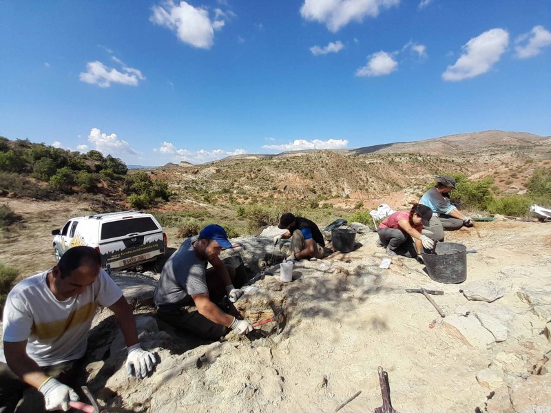 Nuevos fósiles de otro gran dinosaurio en Teruel