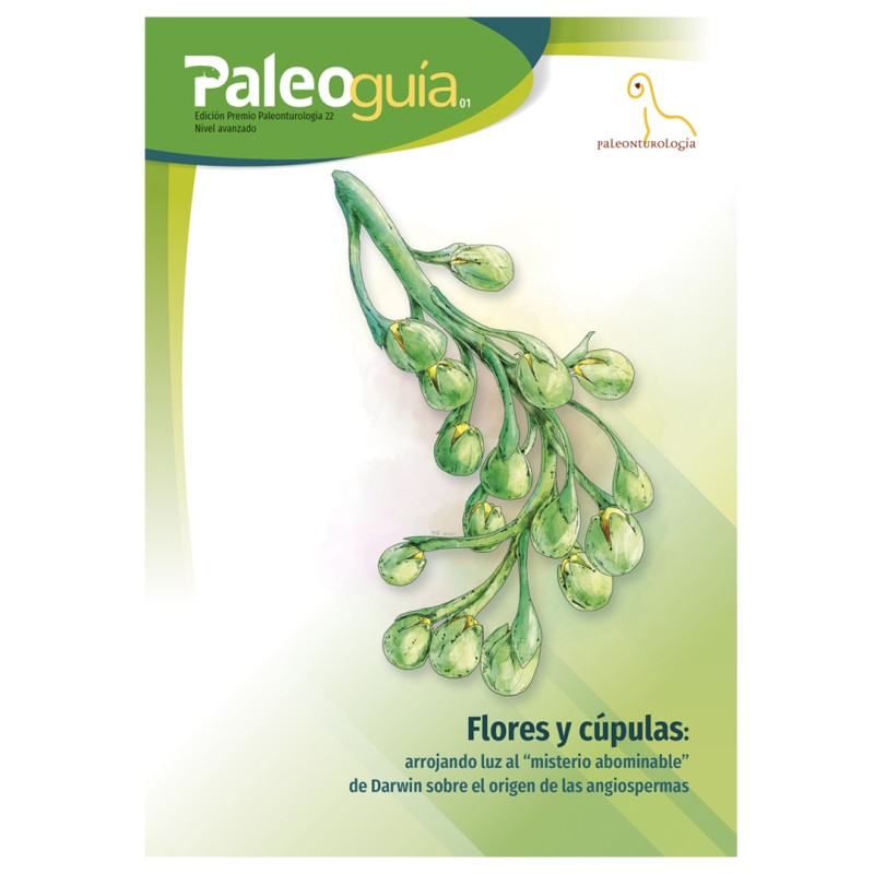 La Fundación Dinópolis lanza un nuevo formato divulgativo a través de las ‘Paleoguías’