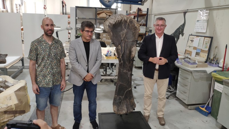 La Fundación Dinópolis muestra fósiles excepcionales de otro de los dinosaurios saurópodos más grandes de Europa y del estegosaurio Dacentrurus armatus.