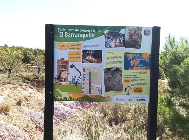 La Fundación Dinópolis renueva la museografía del yacimiento de troncos fósiles “El Barranquillo” en Castellote (Teruel)