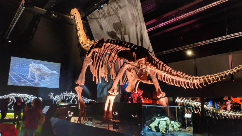 La Fundación Dinópolis celebra el ‘Día Internacional de la Mujer y la Niña en la Ciencia’ en el Museo Aragonés de Paleontología.