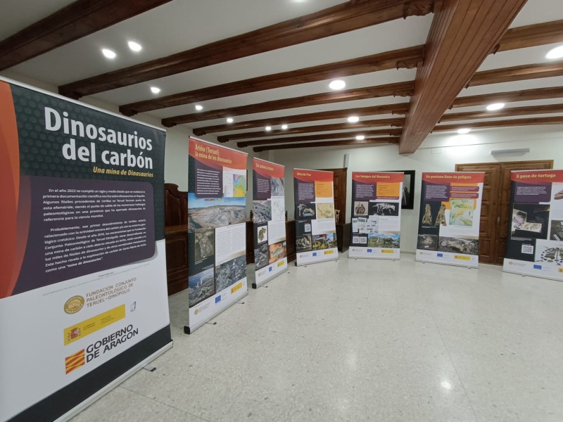 Los “Dinosaurios del carbón” protagonistas de la nueva exposición itinerante producida por la Fundación Dinópolis