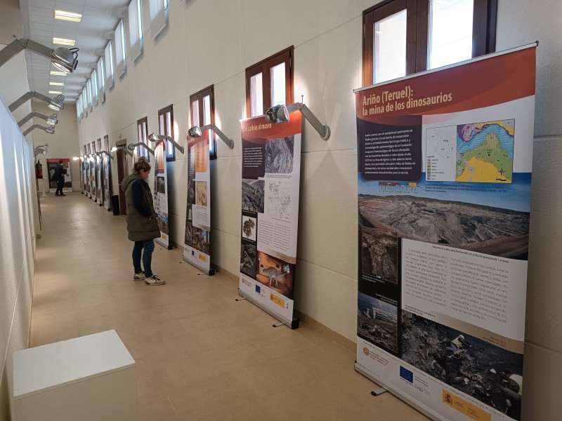 La exposición “Dinosaurios del carbón” se traslada desde el MWINAS- de Andorra al Museo Pablo Serrano de Crivillén