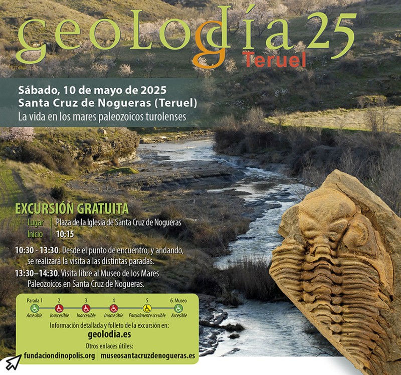 La vida marina del Paleozoico en Santa Cruz de Nogueras en el Geolodía 25 de la provincia de Teruel