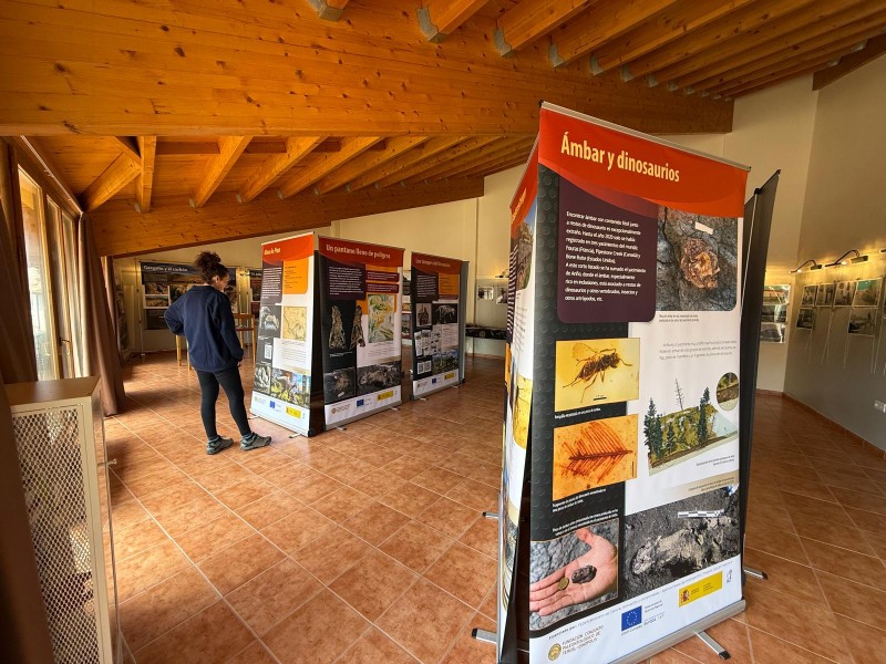 La exposición “Dinosaurios del carbón” se podrá visitar durante todo el mes de mayo en Gargallo