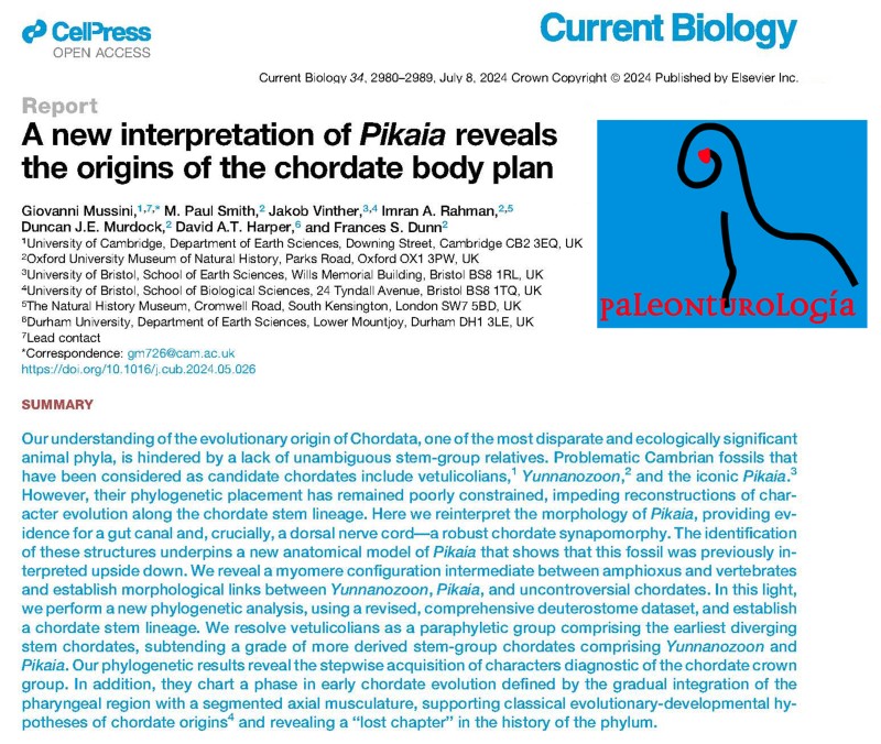 Una investigación sobre el origen de la estructura corporal de los cordados primitivos gana el Premio Internacional de Investigación en Paleontología 2025