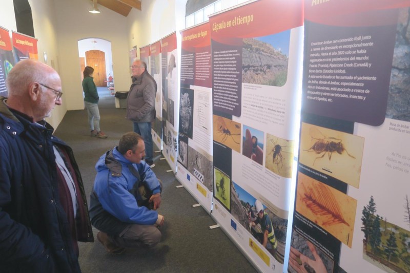 La exposición “Dinosaurios del carbón” producida por la Fundación Dinópolis se instala en el Parque Temático de la Minería de Utrillas
