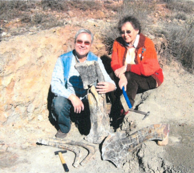 Soriatitan, un nuevo gran dinosaurio saurópodo español.