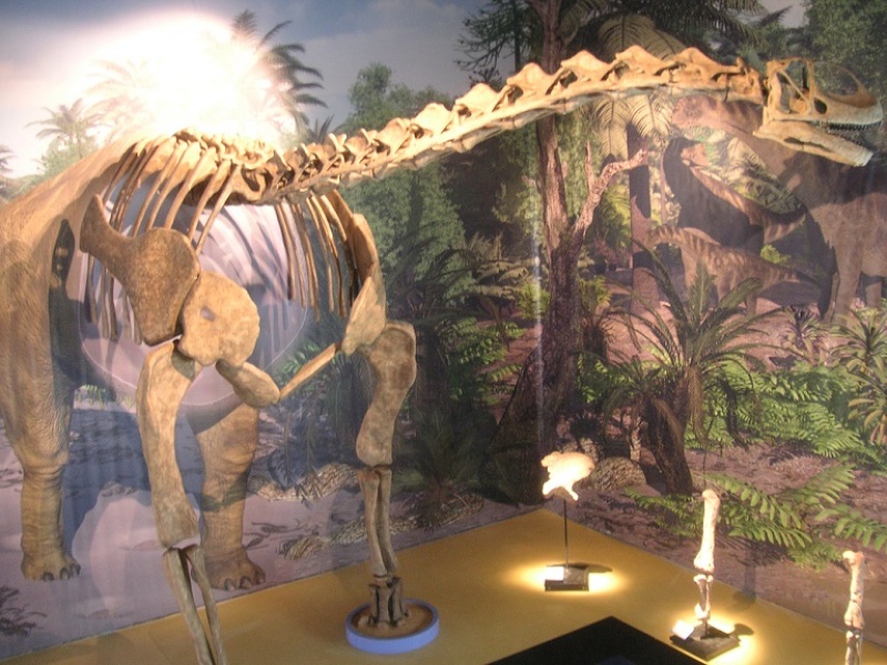Paleontólogos de Dinópolis descubren un nuevo ejemplar de dinosaurio Turiasaurio en Riodeva (Teruel).