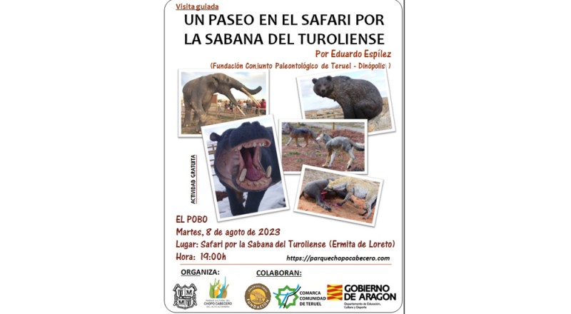 VISITA GUIADA Fundación Dinópolis: 