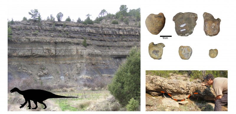 Los grandes dinosaurios ornitópodos reinaban en los lagos costeros de hace 130-125 millones de años en la provincia de Teruel.