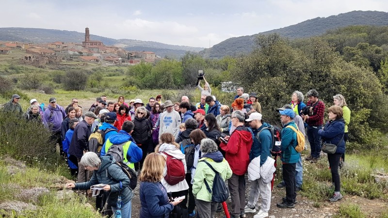 El XX Geolodía de la provincia de Teruel mostró la paleodiversidad de los mares y costas del Paleozoico en Santa Cruz de Nogueras