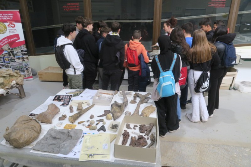 La Fundación Dinópolis celebra el DIM con charlas y visitas educativas y el acceso libre a su último libro publicado.
