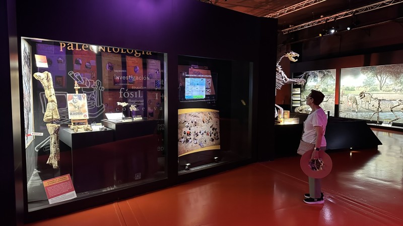 El cráneo de estegosaurio más completo de Europa ya puede verse en el Museo Aragonés de Paleontología en Dinópolis (Teruel)