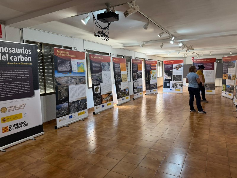 La exposición “Dinosaurios del carbón” se podrá visitar hasta el 4 de julio en Alcorisa (Teruel)