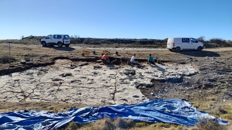 Huellas excepcionales de dinosaurios saurópodos entre las más de 250 descubiertas en un yacimiento de Ababuj (Teruel, España)
