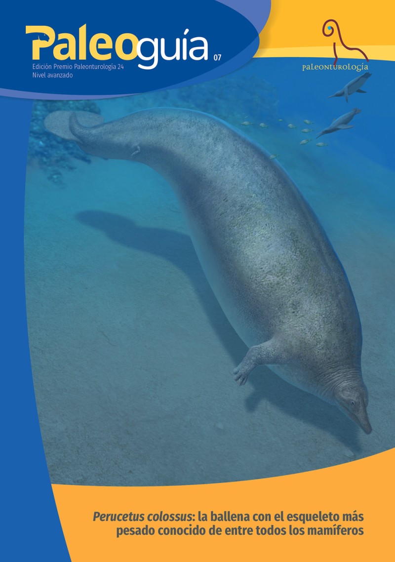 Una ballena gigante de hace 37 millones de años protagoniza la nueva ‘Paleoguía’ de la Fundación Dinópolis