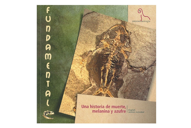 Libro Paleontología. Colección Fundamental