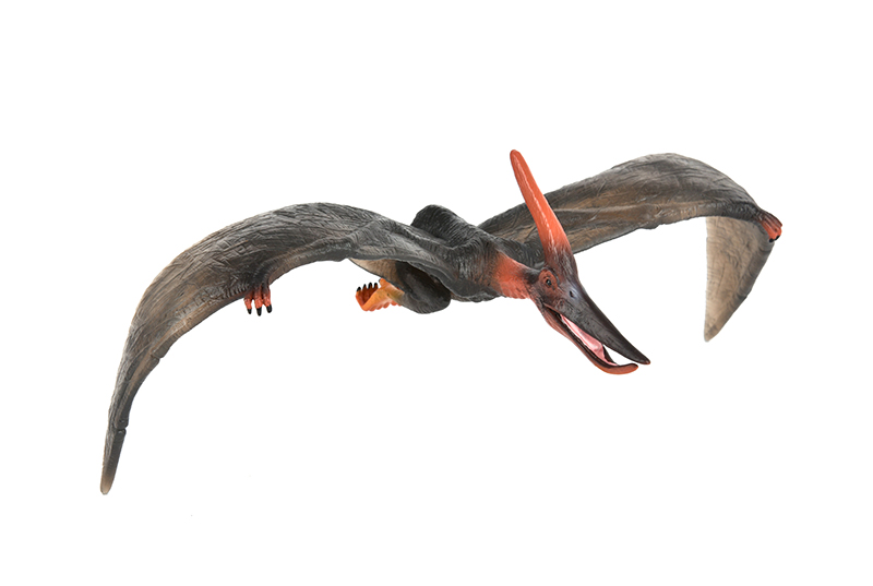 Pteranodon deluxe