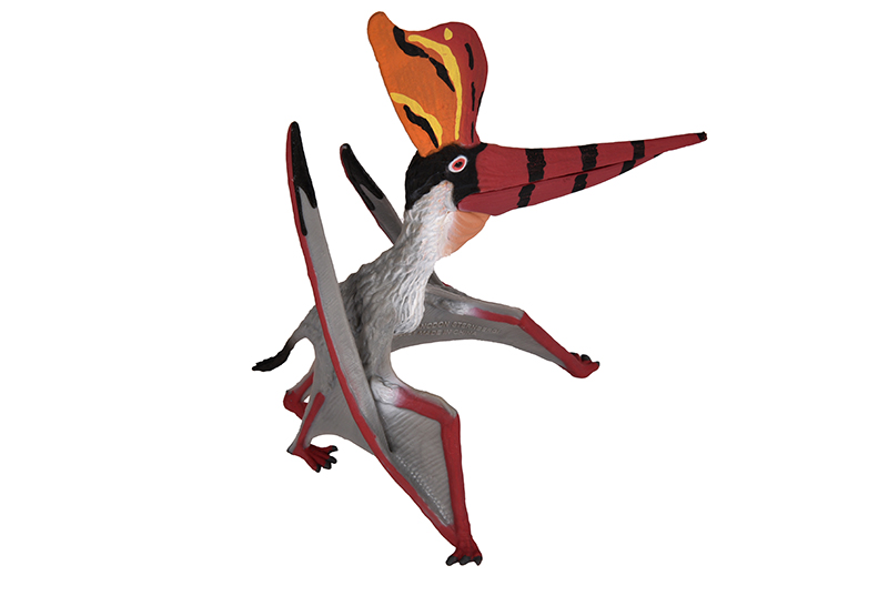 Pteranodon sternbergi con mandívula movible