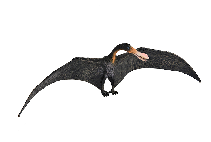 ornithocheirus
