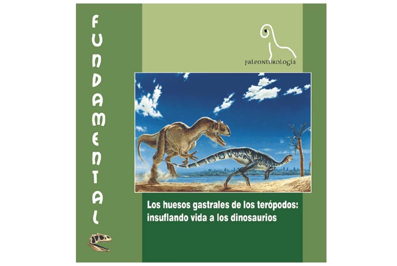 Libro Paleontología. Colección Fundamental